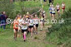 Senior womens Start Fitness North Eastern Harrier League, Tanfield, County Durham. Photo: David T. Hewitson/Sports for All Pics